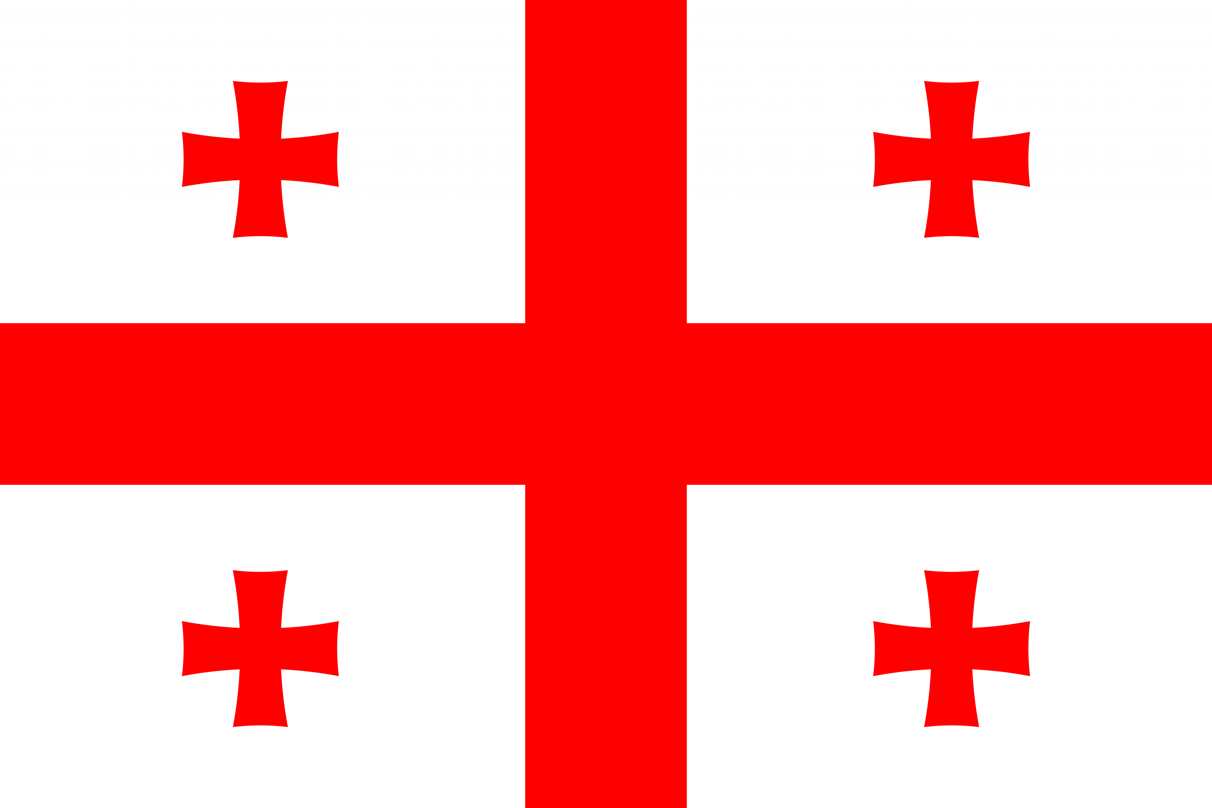 flag image