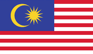 flag image